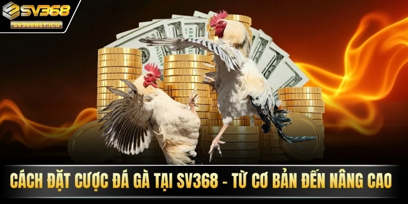 Cách đặt cược SV368