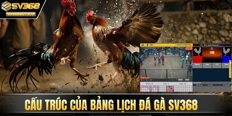 Cấu trúc của bảng lịch đá gà SV368