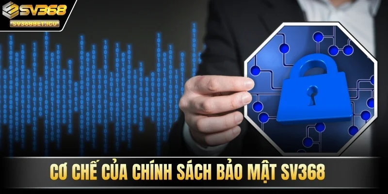 Cơ chế của chính sách bảo mật SV368