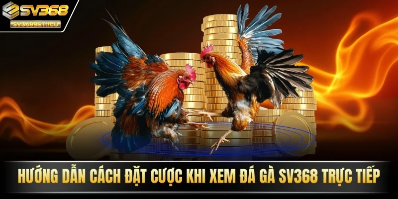 đặt cược khi xem đá gà SV368