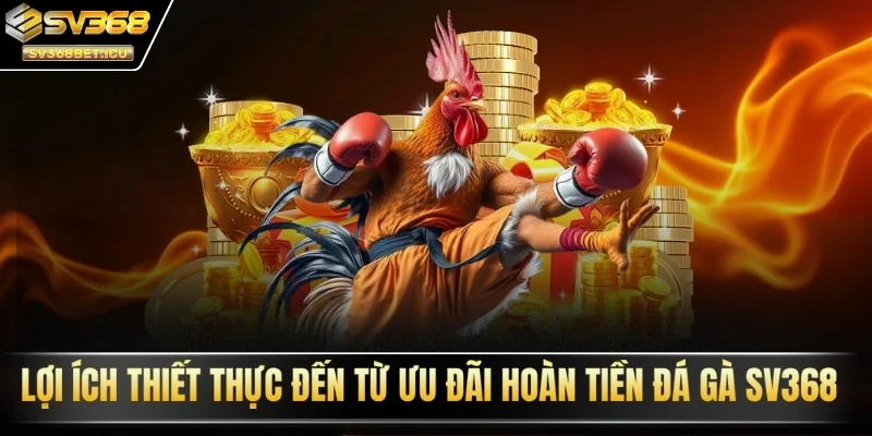 Lợi ích thiết thực đến từ ưu đãi hoàn tiền đá gà SV368