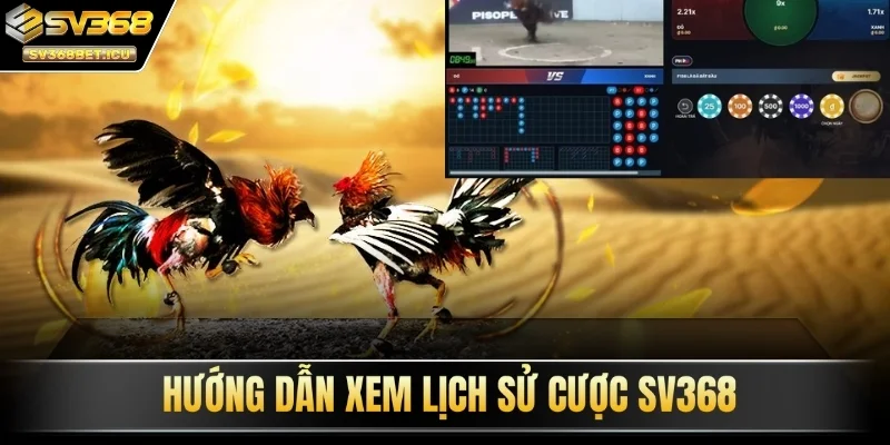 Hướng dẫn xem lịch sử cược SV368 