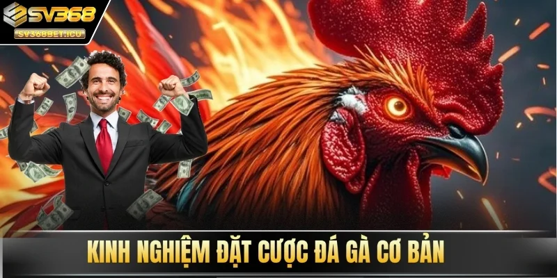 Kinh nghiệm đặt cược đá gà cơ bản