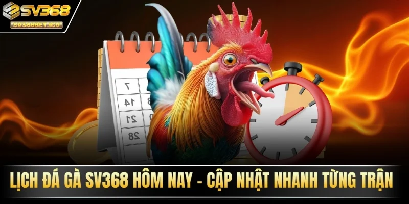 Lịch đá gà SV368