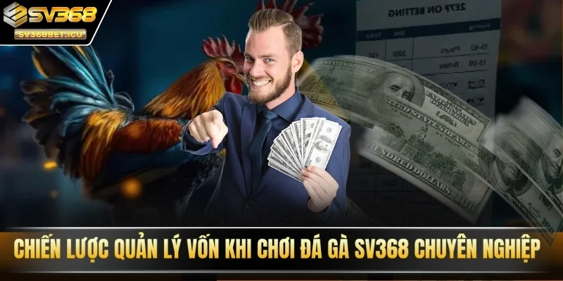 Chiến lược quản lý vốn khi chơi đá gà SV368 chuyên nghiệp