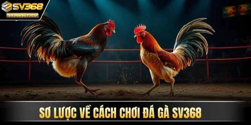 Sơ lược về cách chơi đá gà SV368