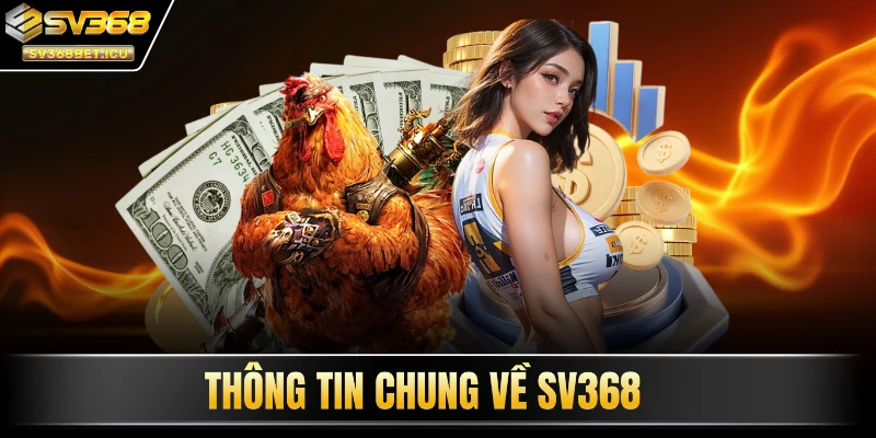 Thông tin chung về SV368