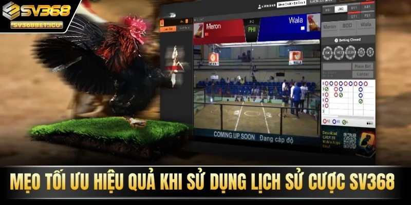 Mẹo tối ưu hiệu quả khi sử dụng lịch sử cược SV368